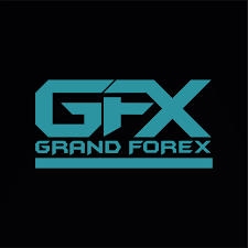 GrandFX　小澤直人